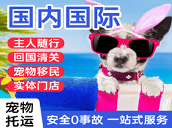 西昌机场货运国际宠物托运 【国